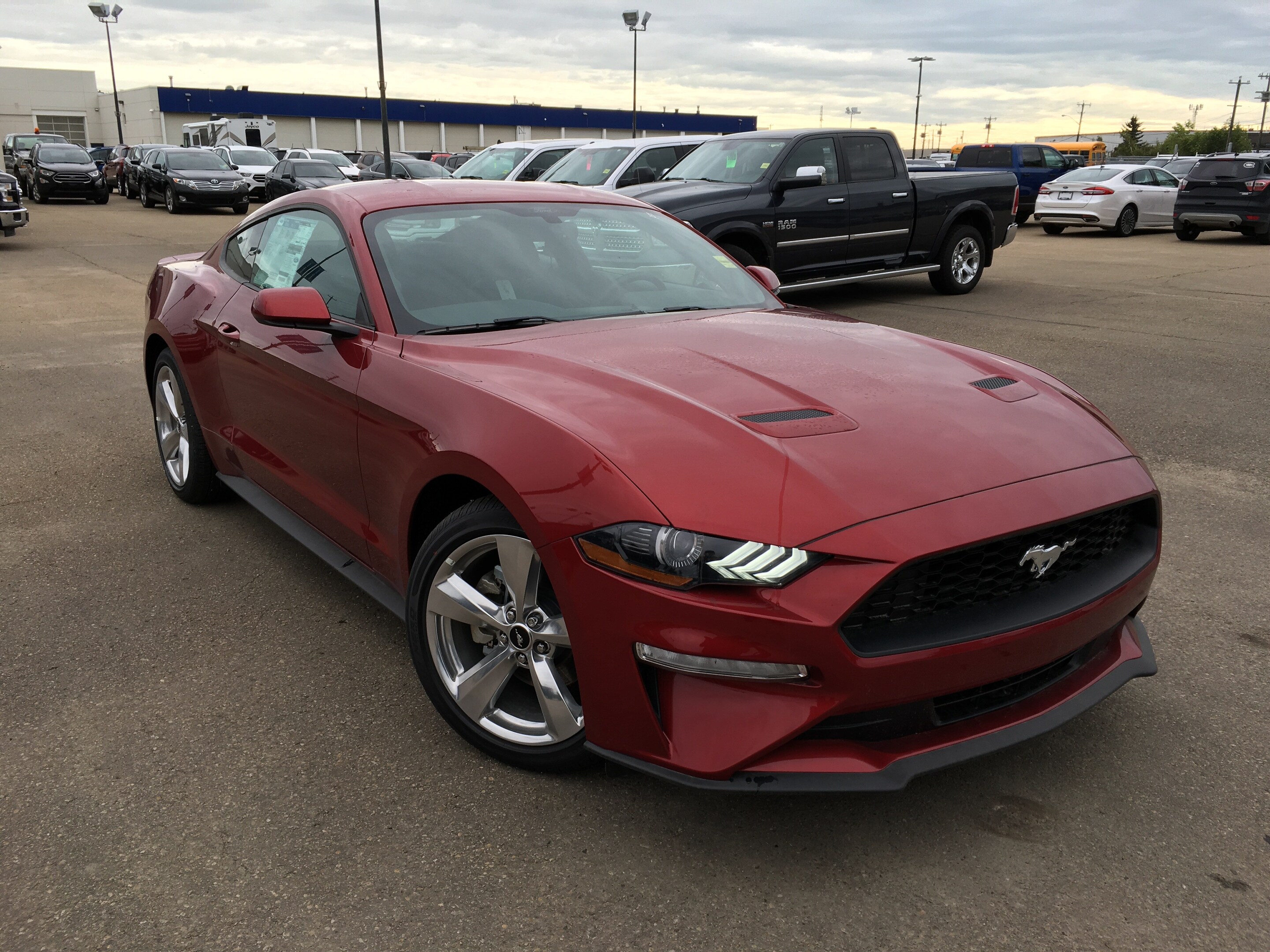 Evolution of the Mustang | autoTRADER.ca