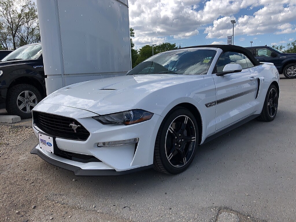 2019 Ford Mustang Convertible Gt Premium Winnipeg