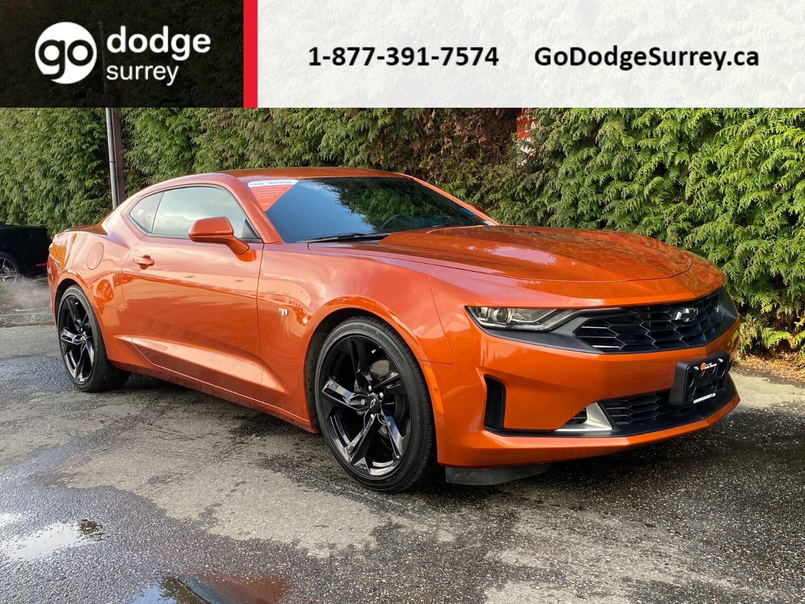 2022 Chevrolet Camaro 1LS + MANUAL/RS PKG/SUNROOF/REAR VIEW CAM/APPLE CA -  Surrey