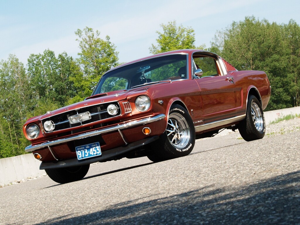 1965 Ford Mustang Gt Arnprior