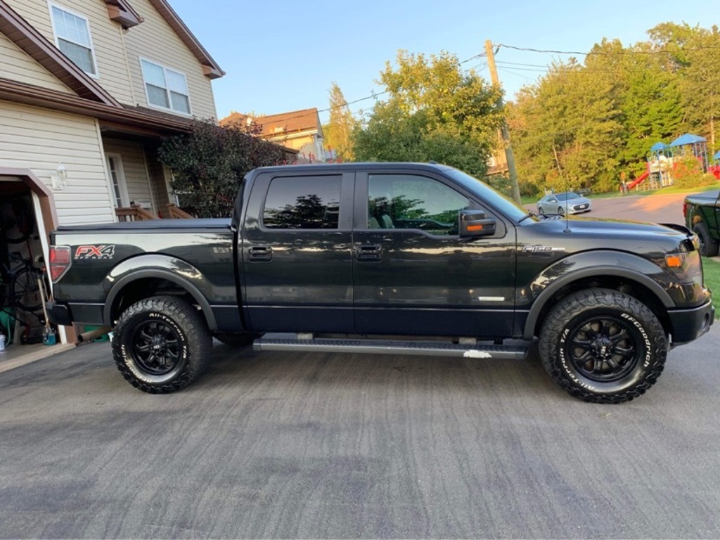 2014 Ford F-150 4WD SuperCrew 157 FX4 - Dieppe