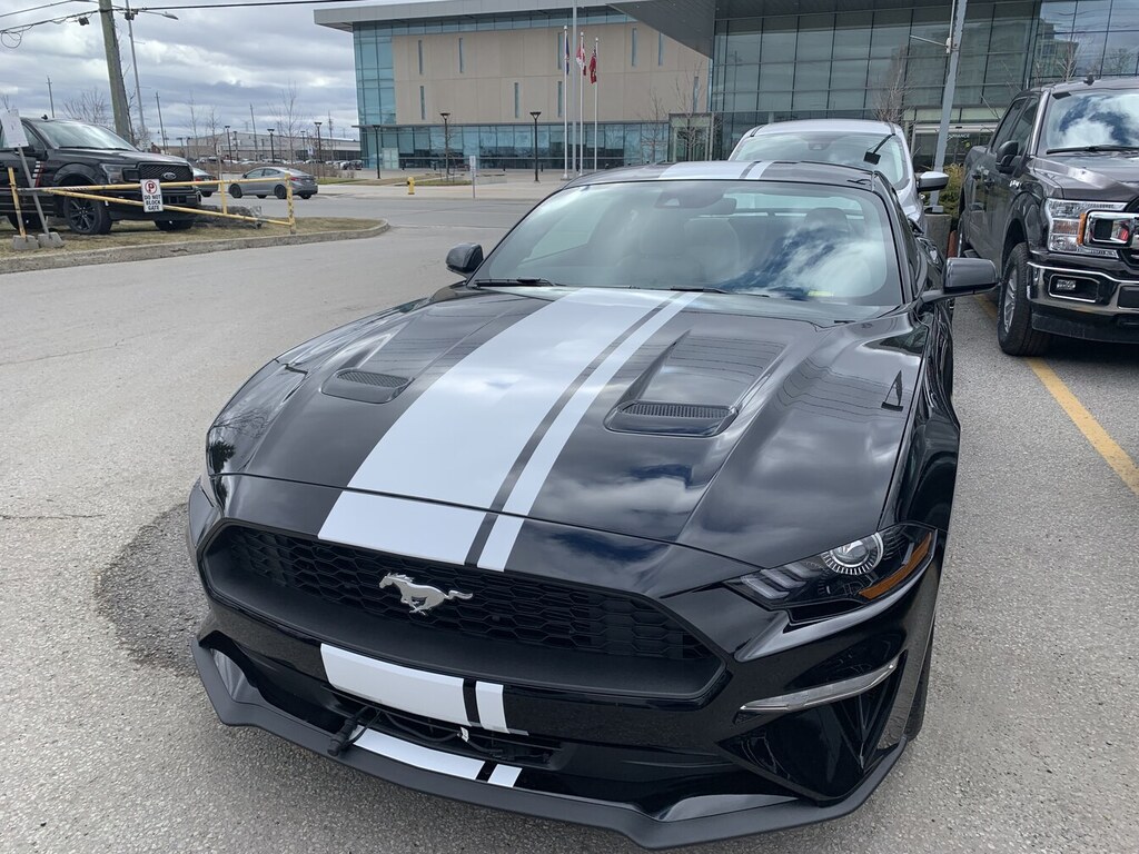 2019 Ford Mustang EcoBoost Fastback - Millbrook